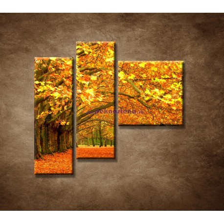 Obrazy na stenu - Park - 3dielny 110x90cm