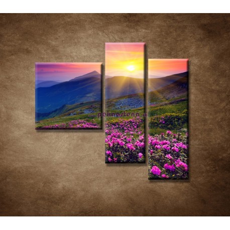 Obrazy na stenu - Západ slnka - 3dielny 110x90cm
