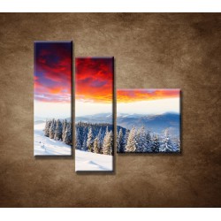 Obrazy na stenu - Zimná príroda - 3dielny 110x90cm