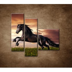 Obrazy na stenu - Čierny kôň - 3dielny 110x90cm