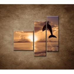 Obrazy na stenu - Skákajúci delfín - 3dielny 110x90cm