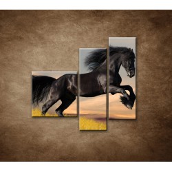 Obrazy na stenu - Skákajúci kôň - 3dielny 110x90cm