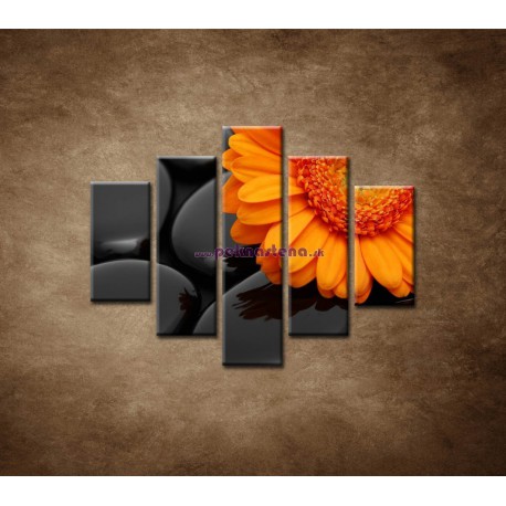 Obrazy na stenu - Oranžová gerbera na kameňoch - 5dielny 100x80cm