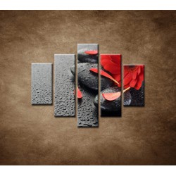Obrazy na stenu - Červená gerbera a kamene - 5dielny 100x80cm