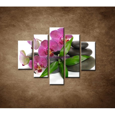 Obrazy na stenu - Orchidea na kameňoch - 5dielny 100x80cm