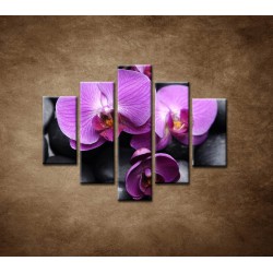 Obrazy na stenu - Ružové orchidey - 5dielny 100x80cm