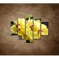 Obrazy na stenu - Žltá orchidea s kameňmi - 5dielny 100x80cm