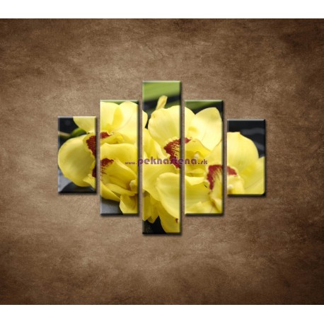 Obrazy na stenu - Žltá orchidea s kameňmi - 5dielny 100x80cm