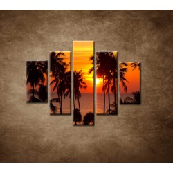 Obrazy na stenu - Západ slnka s palmami - 5dielny 100x80cm