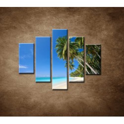 Obrazy na stenu - Pláž s palmami - 5dielny 100x80cm
