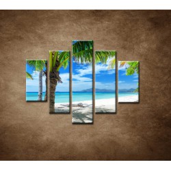 Obrazy na stenu - Pláž s palmou - 5dielny 100x80cm
