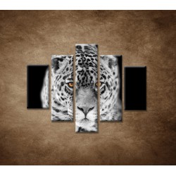 Obrazy na stenu - Čiernobiely jaguár - 5dielny 100x80cm