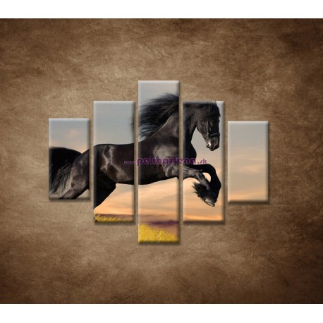 Obrazy na stenu - Skákajúci kôň - 5dielny 100x80cm