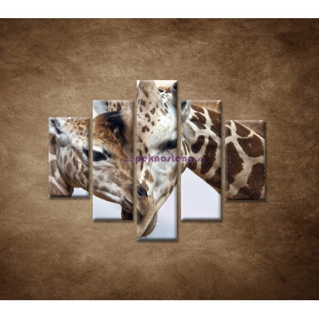 Obrazy na stenu - Žirafy - 5dielny 100x80cm