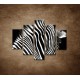 Obrazy na stenu - Zebra - 5dielny 100x80cm