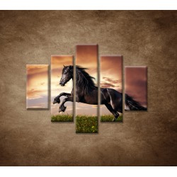 Obrazy na stenu - Čierny kôň - 5dielny 100x80cm