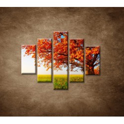 Obrazy na stenu - Jesenný dub - 5dielny 100x80cm