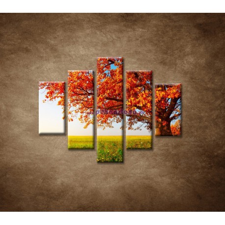 Obrazy na stenu - Jesenný dub - 5dielny 100x80cm