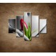 Obrazy na stenu - Mokré dievča s tulipánom - 5dielny 100x80cm