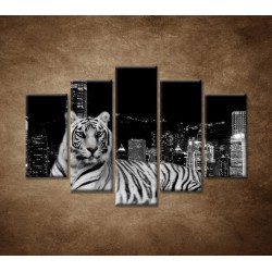 Obrazy na stenu - Mestský tiger - 5dielny 150x100cm