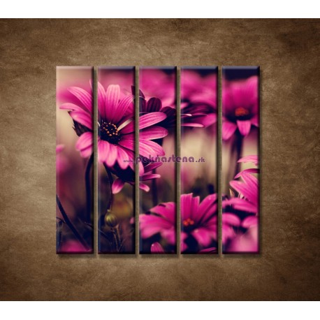 Obrazy na stenu - Ružové gerbery - 5dielny 100x100cm