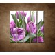 Obrazy na stenu - Nežné tulipány - 5dielny 100x100cm
