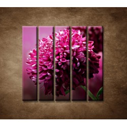 Obrazy na stenu - Kvetinové pozadie - 5dielny 100x100cm