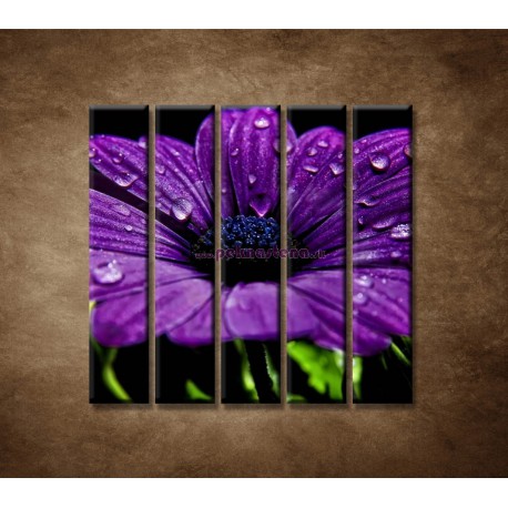Obrazy na stenu - Fialový kvet - 5dielny 100x100cm