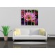 Obrazy na stenu - Lotosové kvety - 5dielny 100x100cm