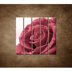 Ruža s rosou - 5dielny 100x100cm