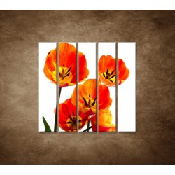 Oranžové tulipány - 5dielny 100x100cm