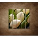Obrazy na stenu - Kytica tulipánov - detail - 5dielny 100x100cm
