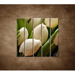 Kytica tulipánov - detail - 5dielny 100x100cm
