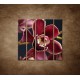 Obrazy na stenu - Bordová orchidea - 5dielny 100x100cm