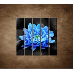 Obrazy na stenu - Modrý kvet na kameňoch - 5dielny 100x100cm