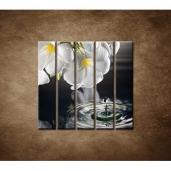 Obrazy na stenu - Biely kvet nad vodou - 5dielny 100x100cm