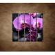 Obrazy na stenu - Ružové orchidey - 5dielny 100x100cm