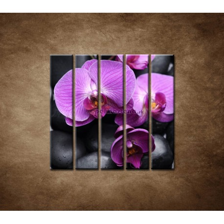 Obrazy na stenu - Ružové orchidey - 5dielny 100x100cm
