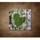 Obrazy na stenu - Srdce z kvetov - 5dielny 100x100cm