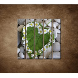 Obrazy na stenu - Srdce z kvetov - 5dielny 100x100cm