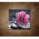 Obrazy na stenu - Ružová orchidea na kameni - 5dielny 100x100cm