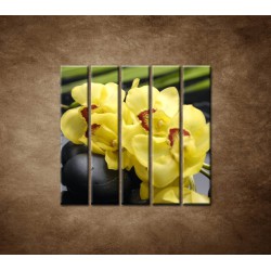 Obrazy na stenu - Žltá orchidea s kameňmi - 5dielny 100x100cm