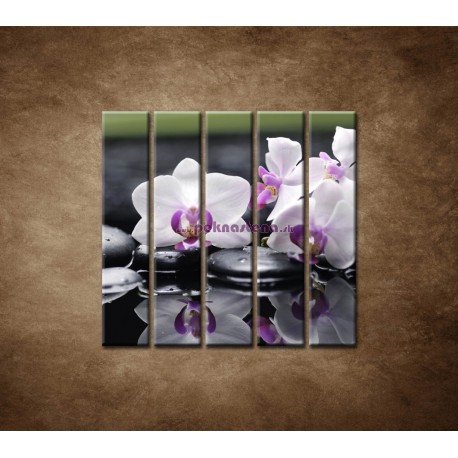 Obrazy na stenu - Ružová orchidea a kamene - 5dielny 100x100cm