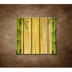 Obrazy na stenu - Bambusové stonky - 5dielny 100x100cm