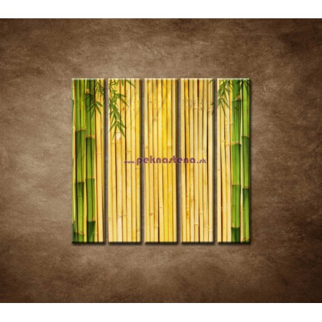 Obrazy na stenu - Bambusové stonky - 5dielny 100x100cm