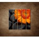 Obrazy na stenu - Oranžová gerbera na kameňoch - 5dielny 100x100cm