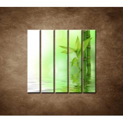 Obrazy na stenu - Bambusový výhonok - 5dielny 100x100cm