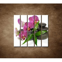 Obrazy na stenu - Orchidea na kameňoch - 5dielny 100x100cm
