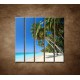 Obrazy na stenu - Pláž s palmami - 5dielny 100x100cm
