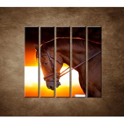 Obrazy na stenu - Kôň v stajni - 5dielny 100x100cm